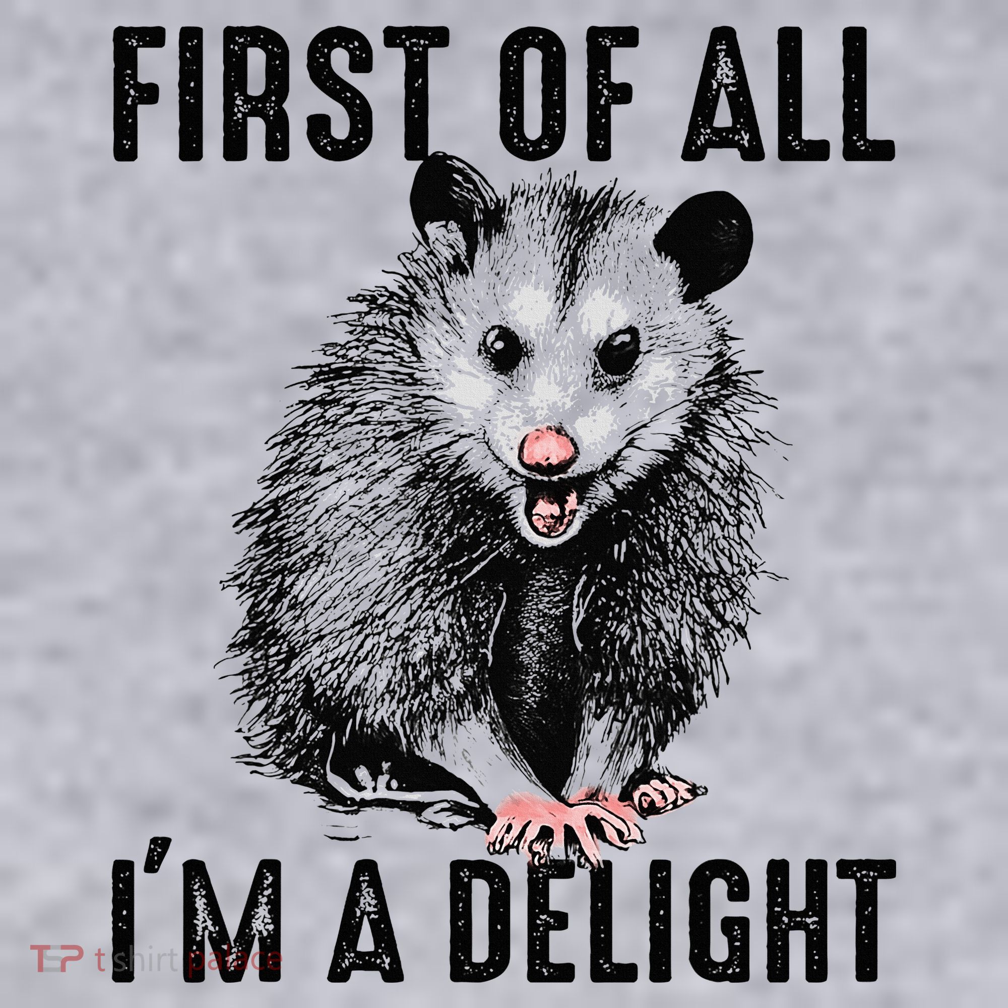 First Of All IM A Delight Opossum Lover Matching Women's Sweatshirt