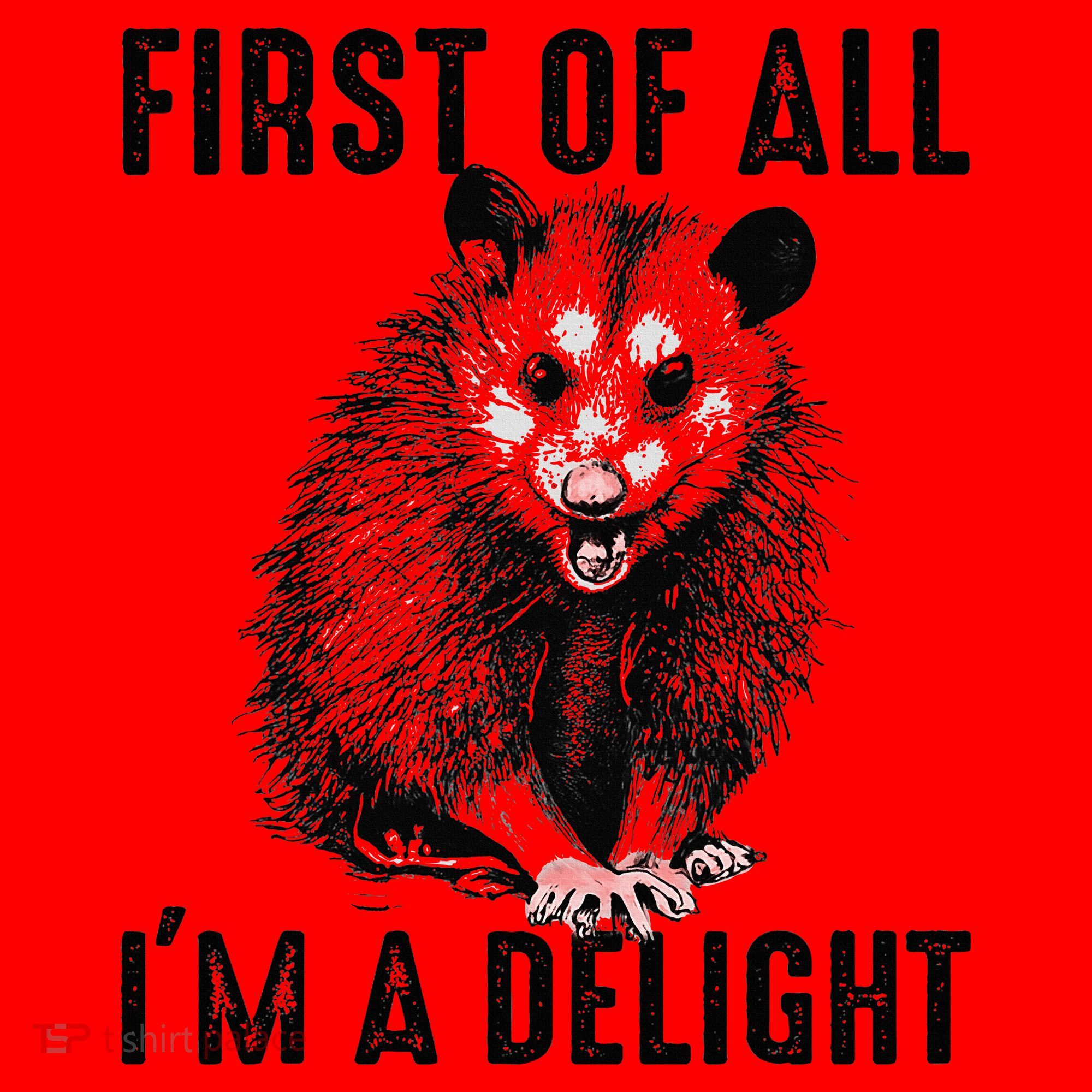 First Of All IM A Delight Opossum Lover Matching Santa Hat