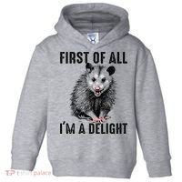 First Of All IM A Delight Opossum Lover Matching Toddler Hoodie thumb 0