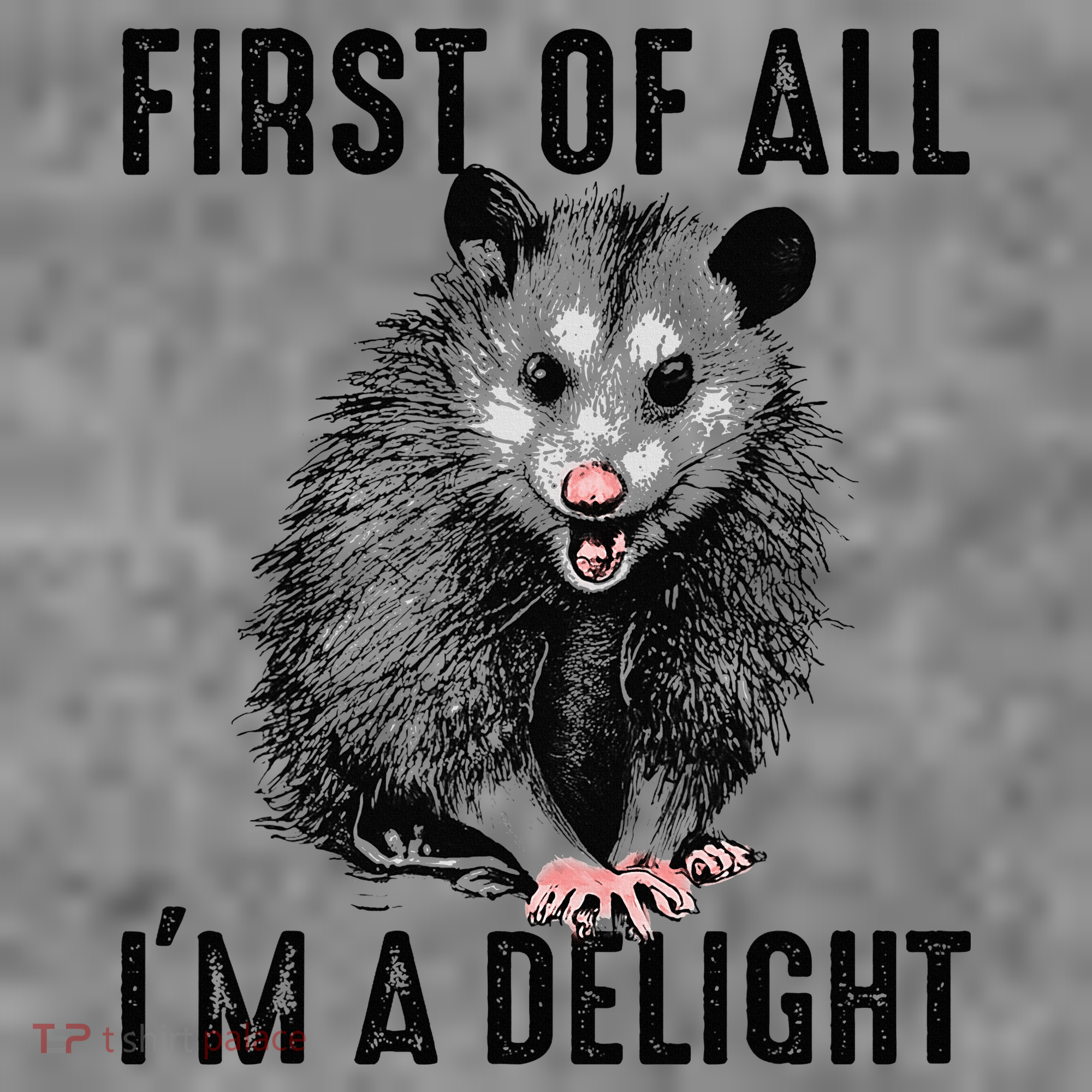 First Of All IM A Delight Opossum Lover Matching Toddler Hoodie