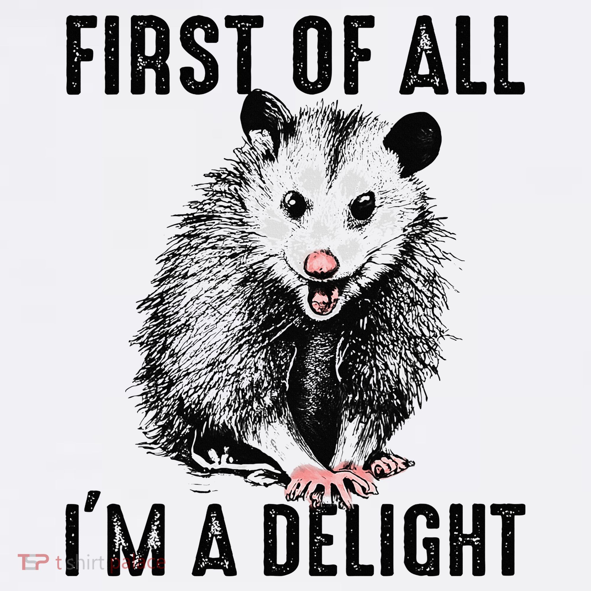 First Of All IM A Delight Opossum Lover Matching Long Sleeve Shirt