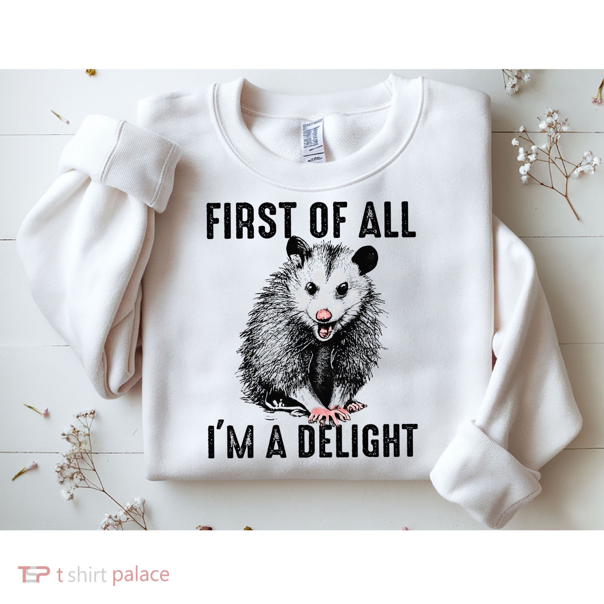 First Of All IM A Delight Opossum Lover Matching Sweatshirt