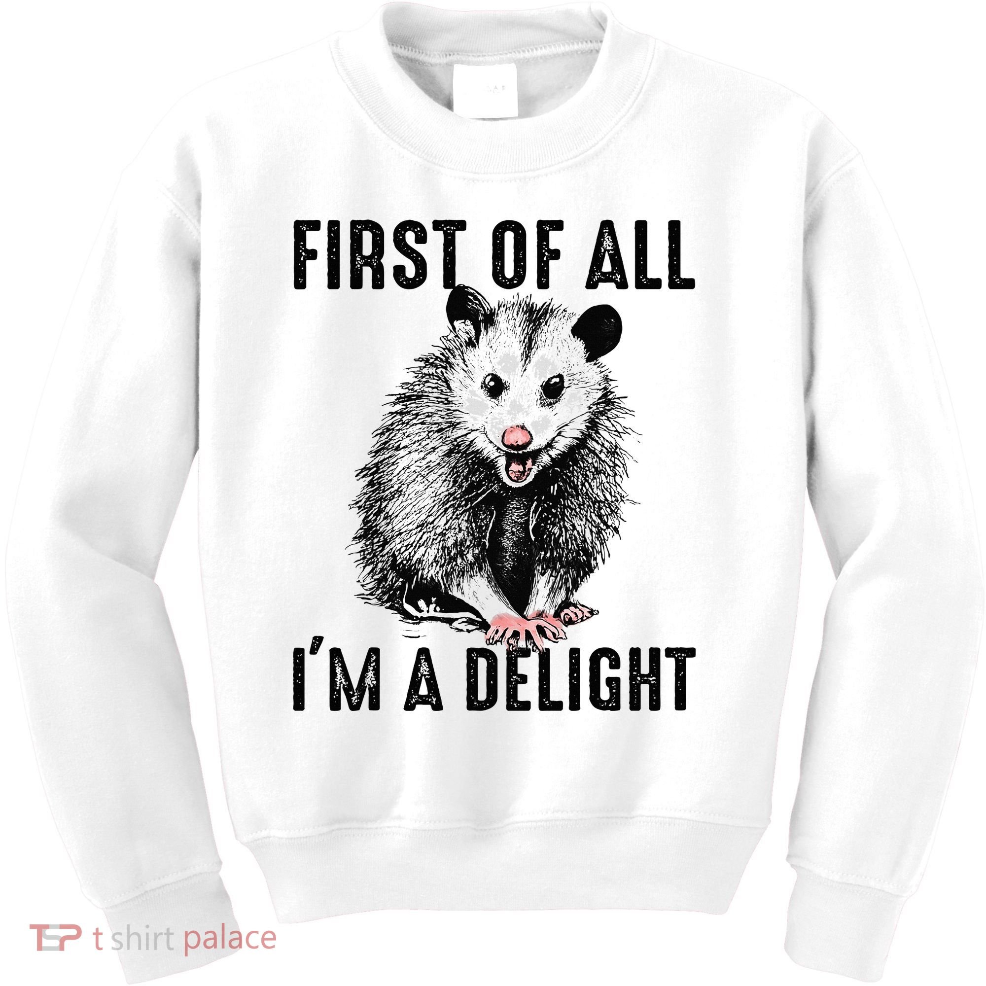 First Of All IM A Delight Opossum Lover Matching Kids Sweatshirt
