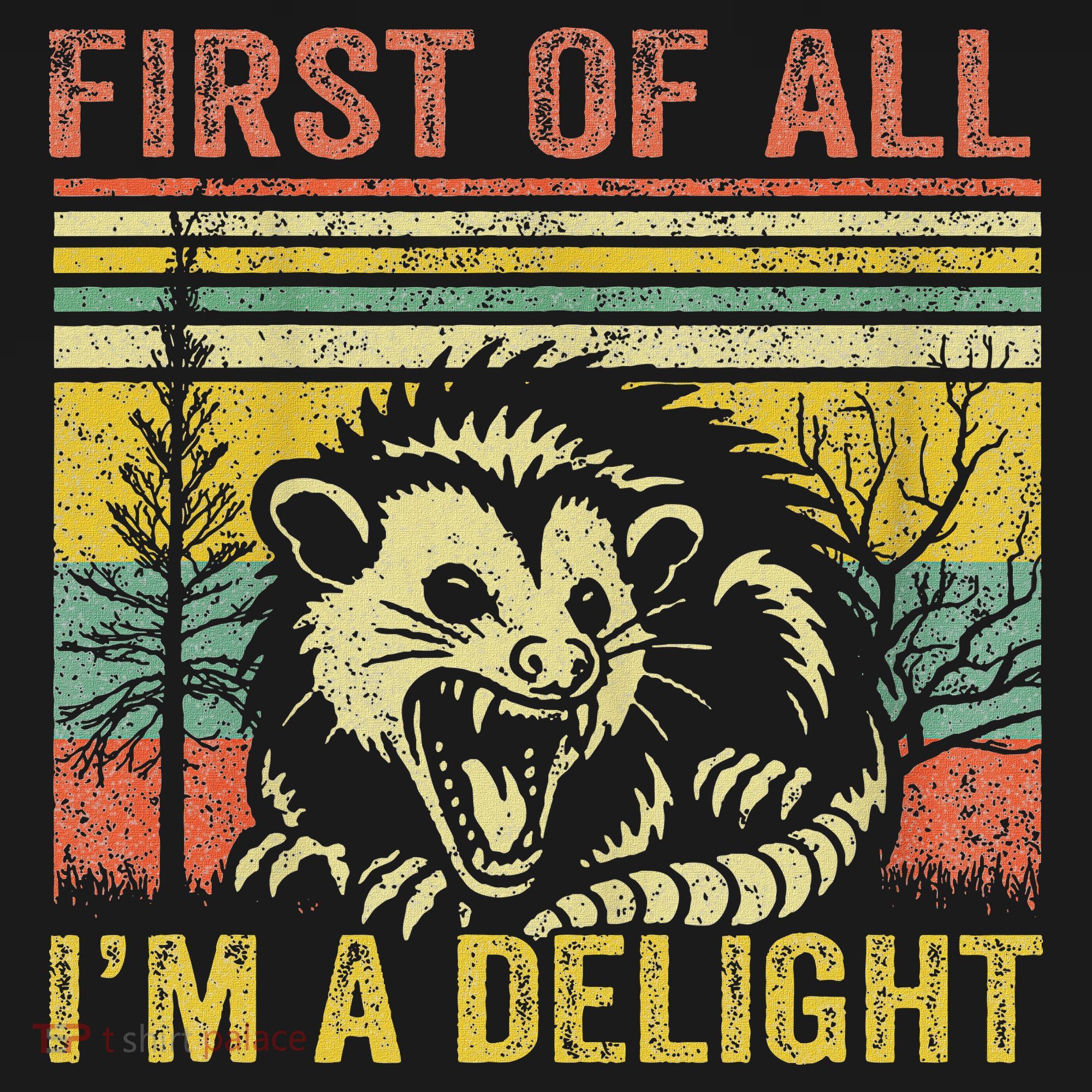 First Of All IM A Delight Funny Quote Women's Hoodie