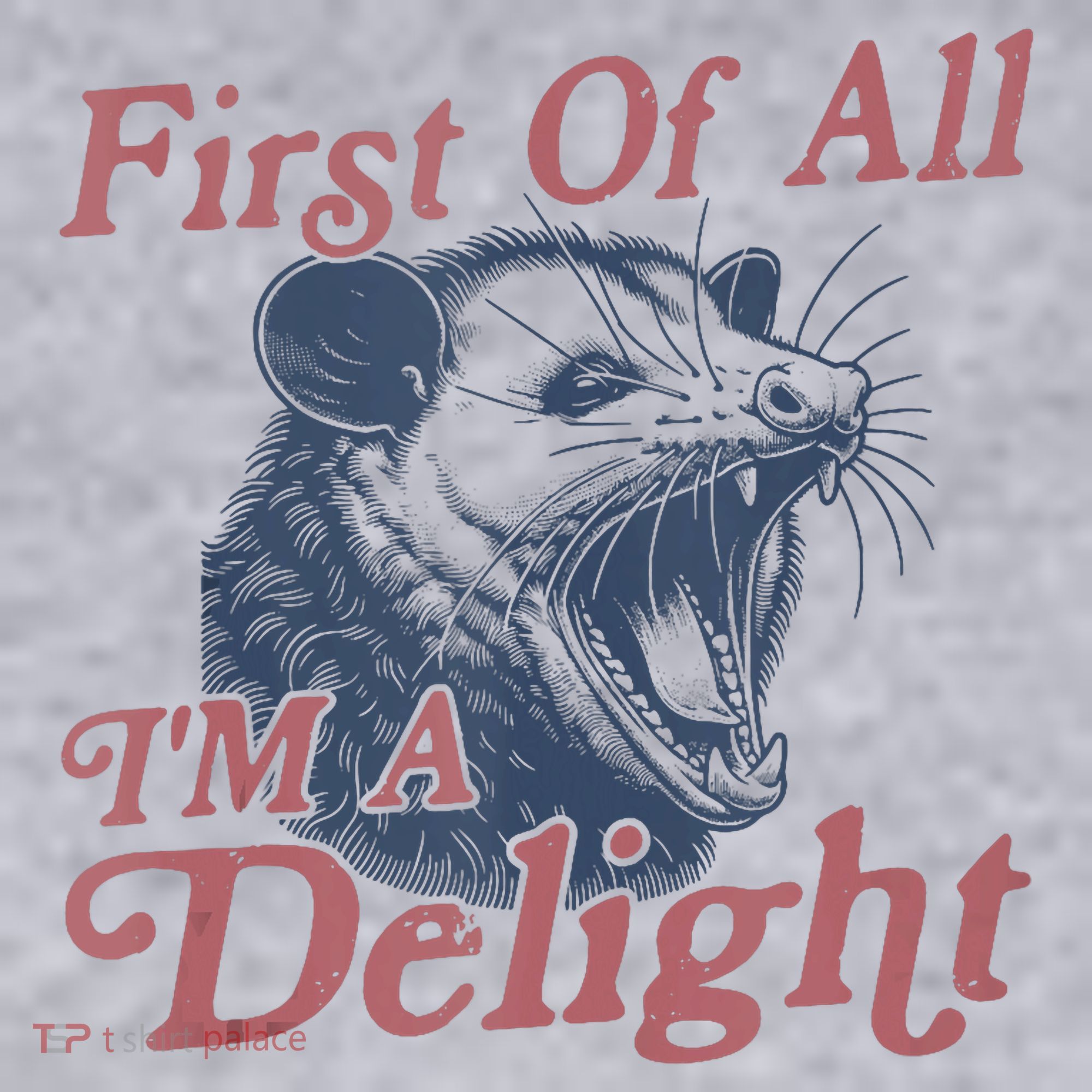 First Of All IM A Delight Funny Angry Opossum Possum Women's Sweatshirt
