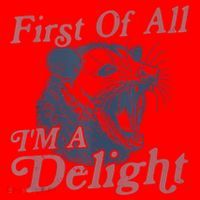 First Of All IM A Delight Funny Angry Opossum Possum Santa Hat thumb 1