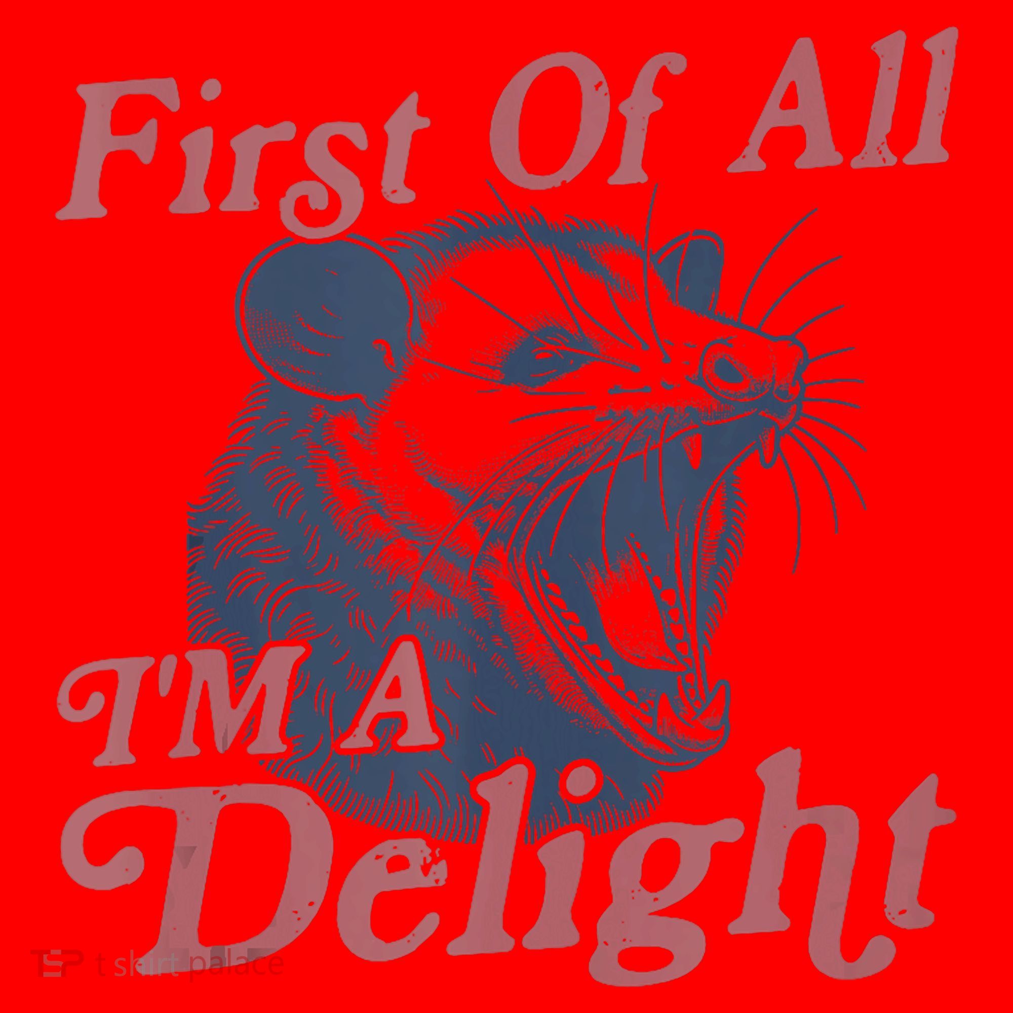 First Of All IM A Delight Funny Angry Opossum Possum Santa Hat