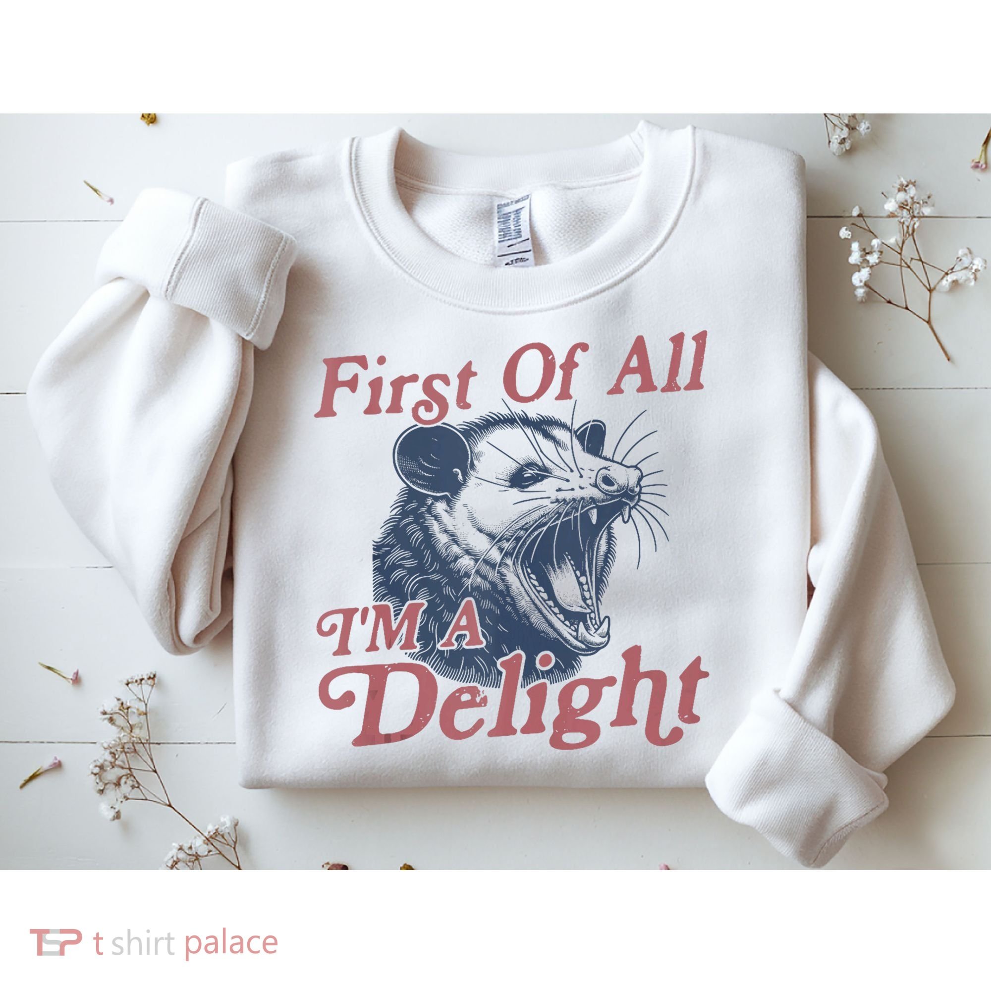 First Of All IM A Delight Funny Angry Opossum Possum Sweatshirt