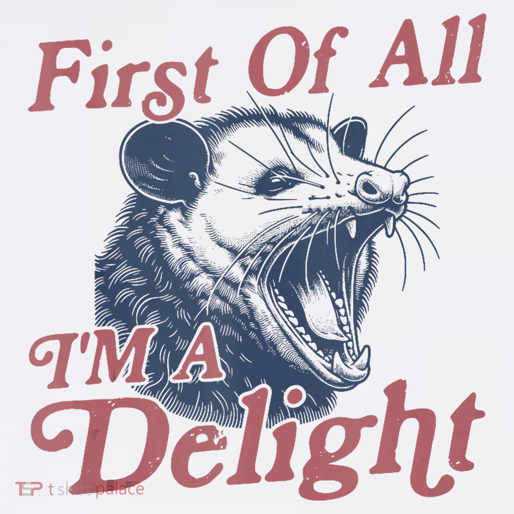 First Of All IM A Delight Funny Angry Opossum Possum Women's Hoodie