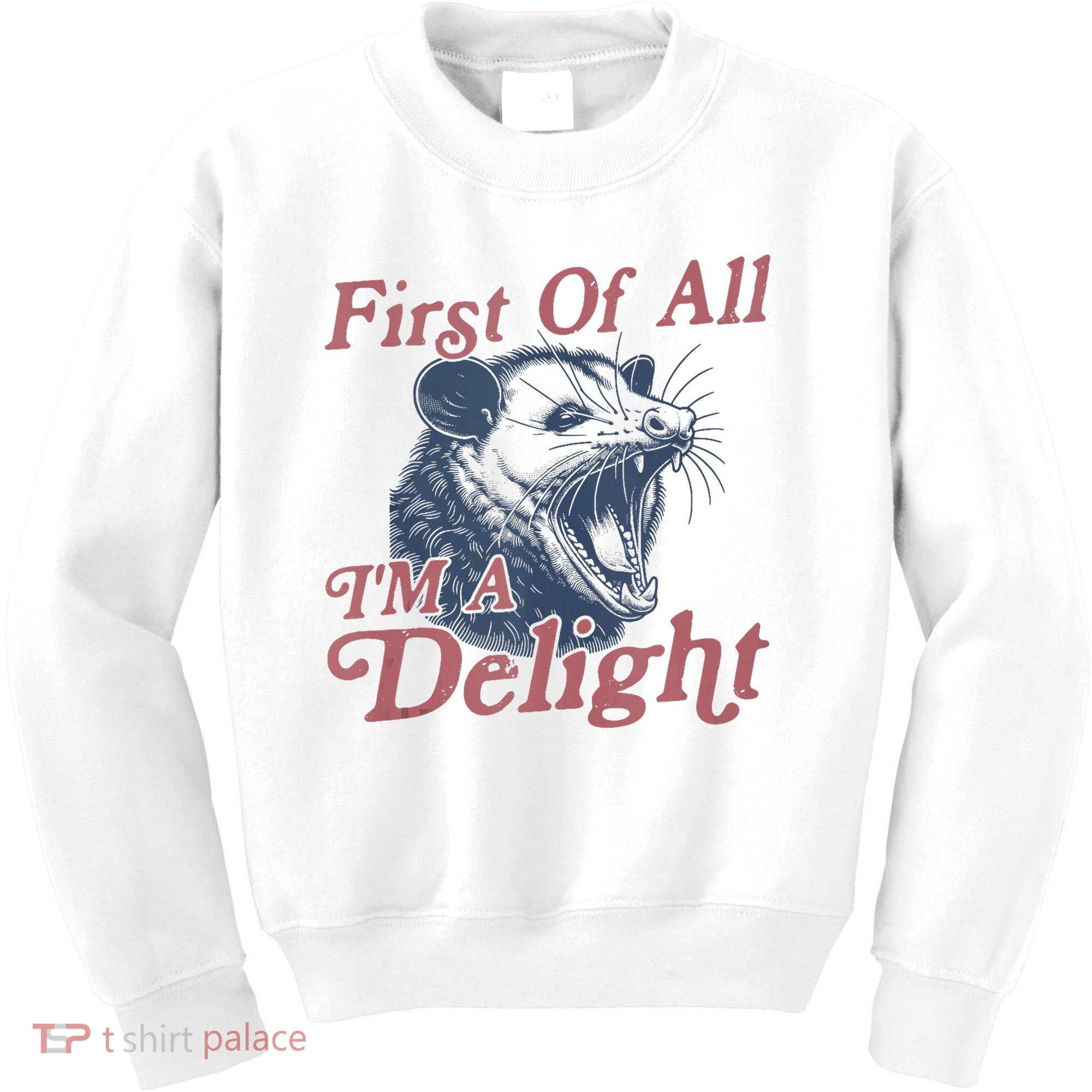 First Of All IM A Delight Funny Angry Opossum Possum Kids Sweatshirt