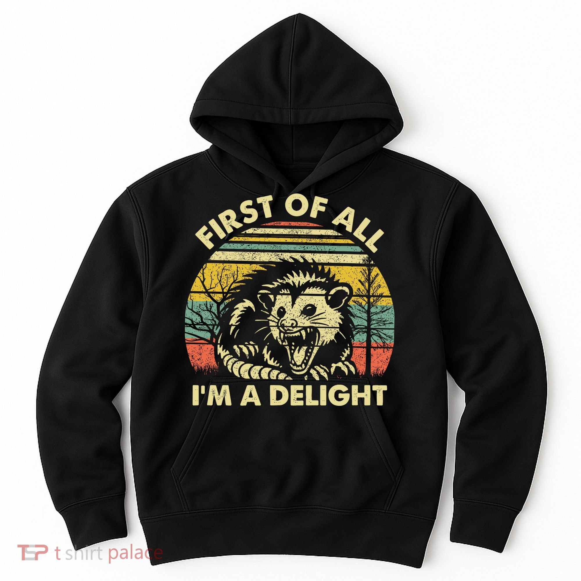 First Of All Im A Delight Sarcastic Angry Opossum Lover Hoodie
