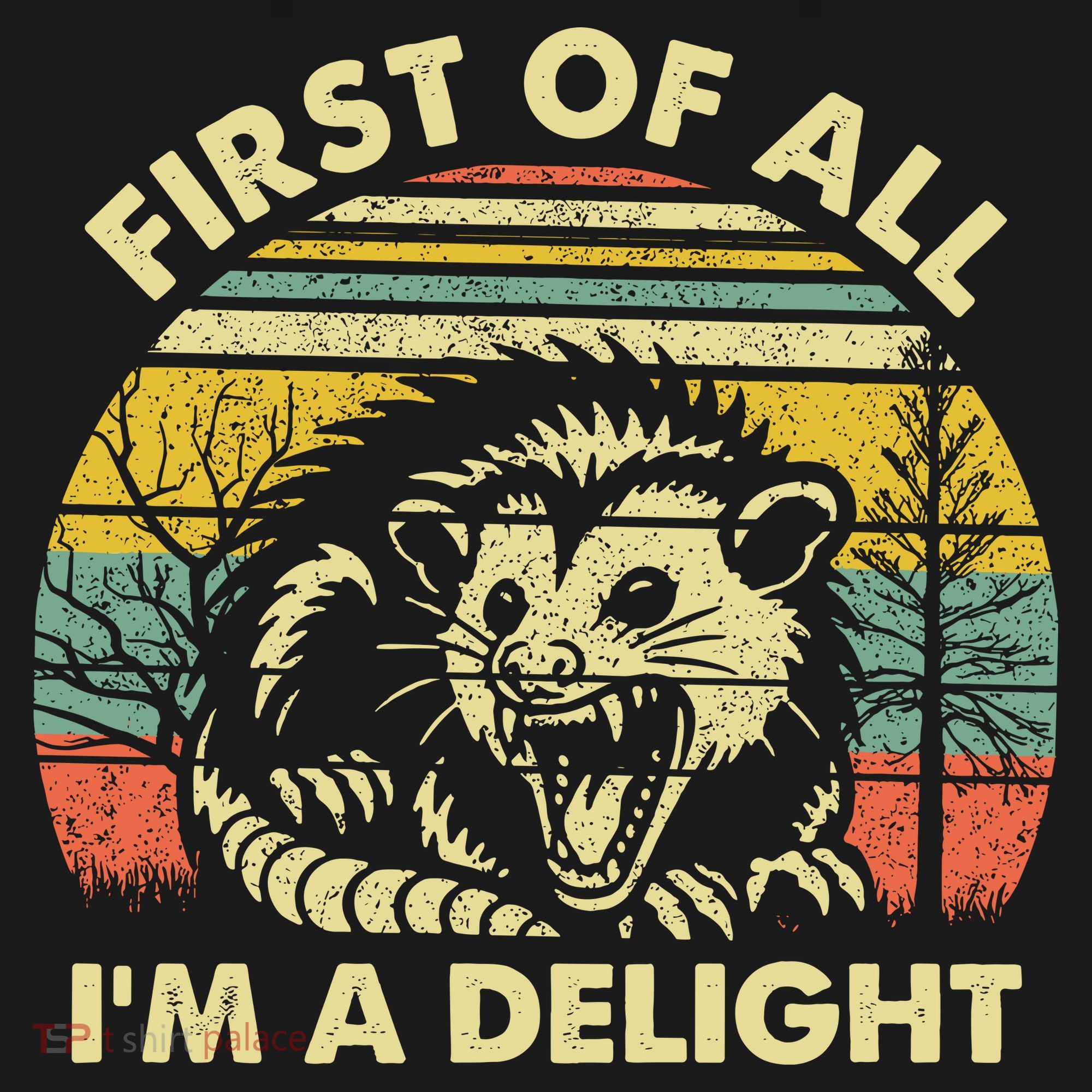 First Of All Im A Delight Sarcastic Angry Opossum Lover Kids Sweatshirt