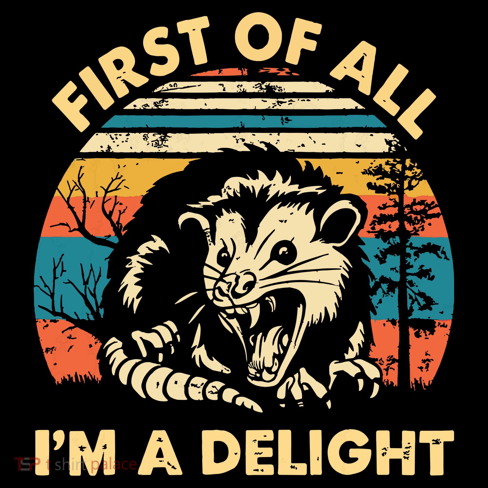 First Of All Im A Delight Opossum Possum Women's Hoodie