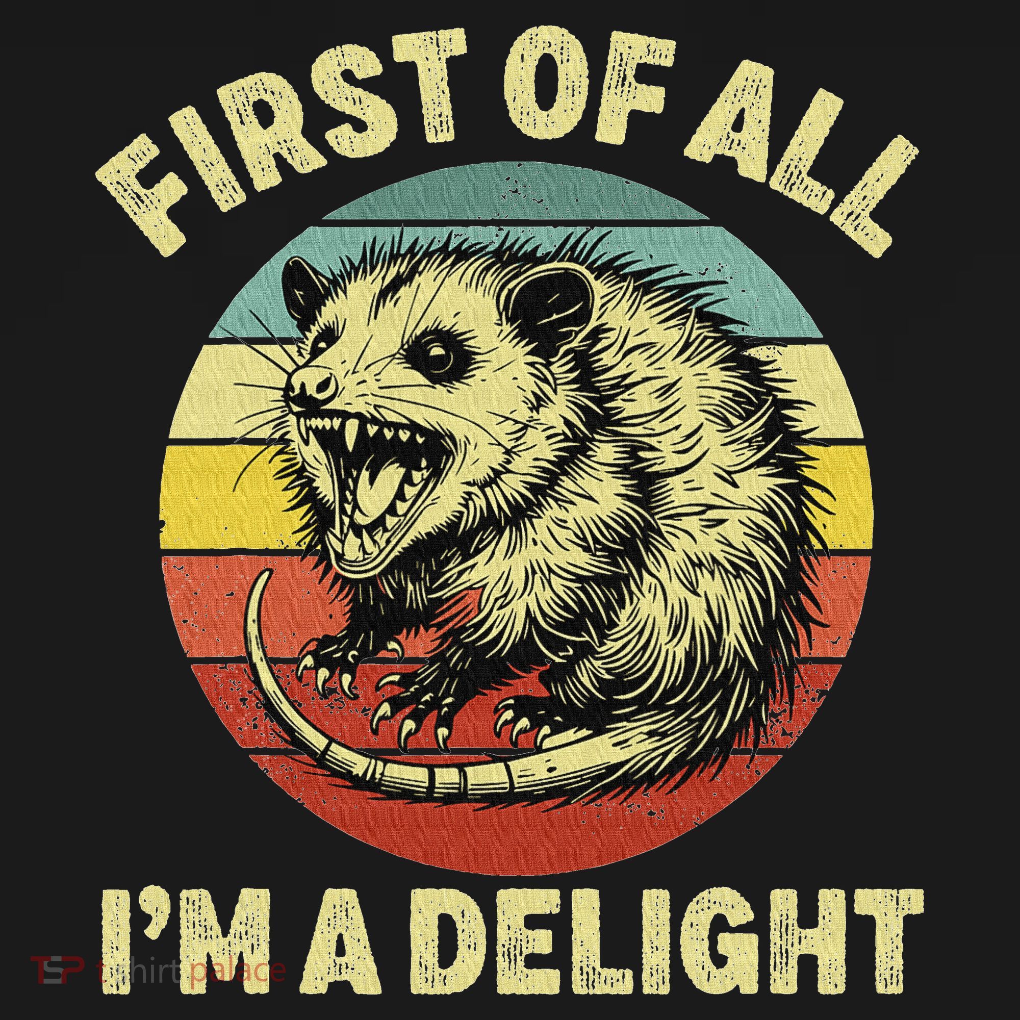 First Of All IM A Delight Women Funny Possum Opossum Women's Hoodie