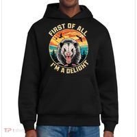First Of All I Am A Delight Sarcastic Angry Opossum District V.I.T. Heavyweight Hoodie thumb 0