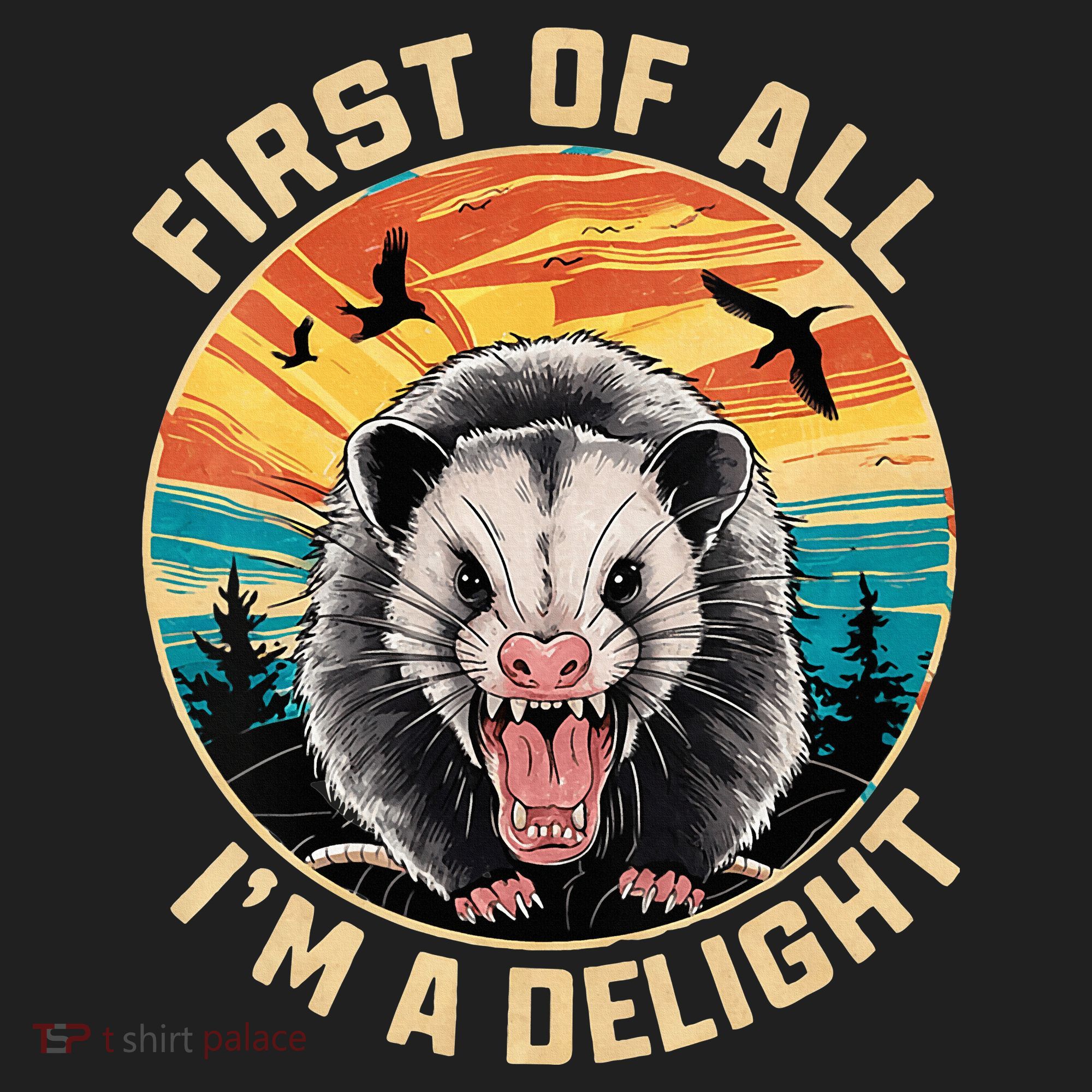 First Of All I Am A Delight Sarcastic Angry Opossum District V.I.T. Heavyweight Hoodie