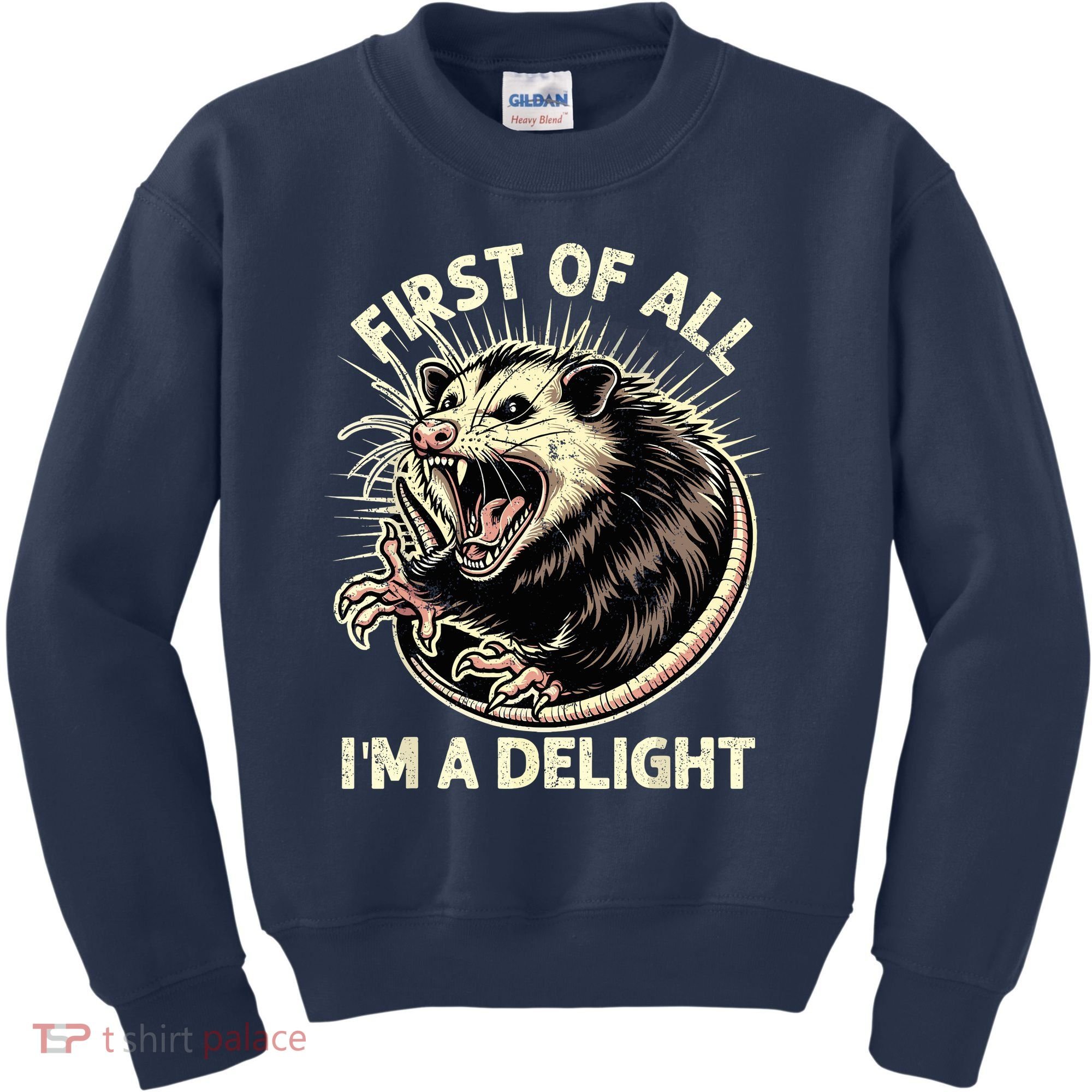 First Of All IM A Delight Sarcastic Possum Angry Opossum Kids Sweatshirt