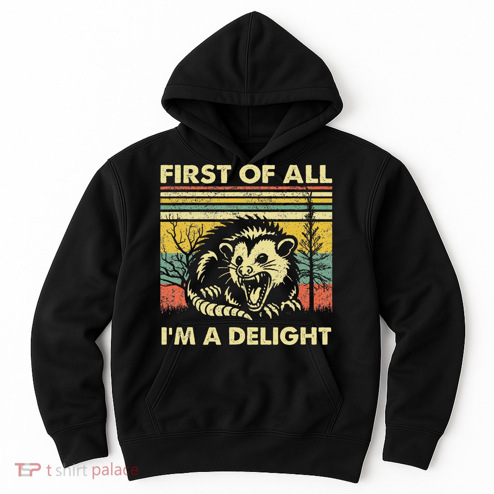 First Of All IM A Delight Sarcastic Angry Opossum Lover Hoodie