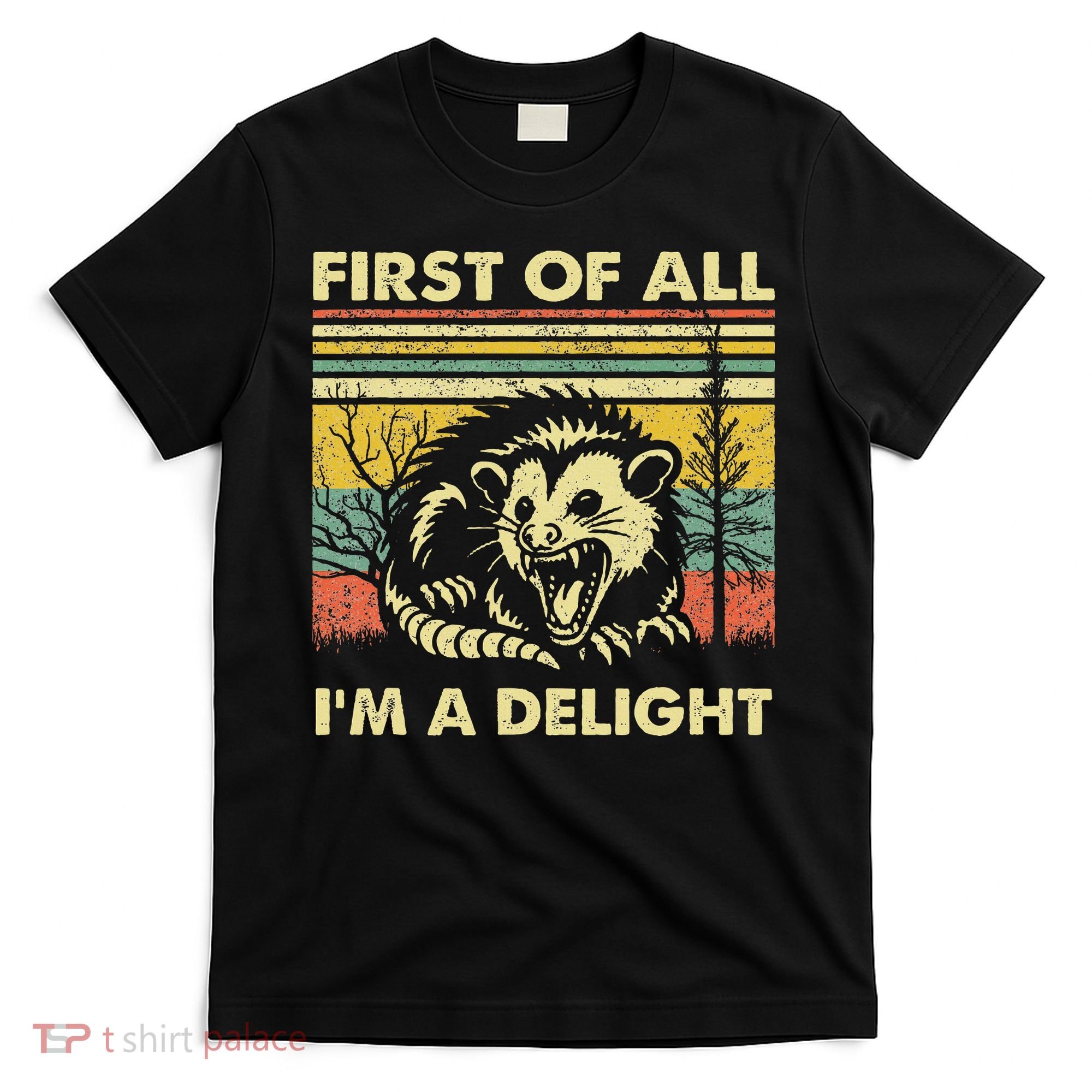 First Of All IM A Delight Sarcastic Angry Opossum Lover T-Shirt