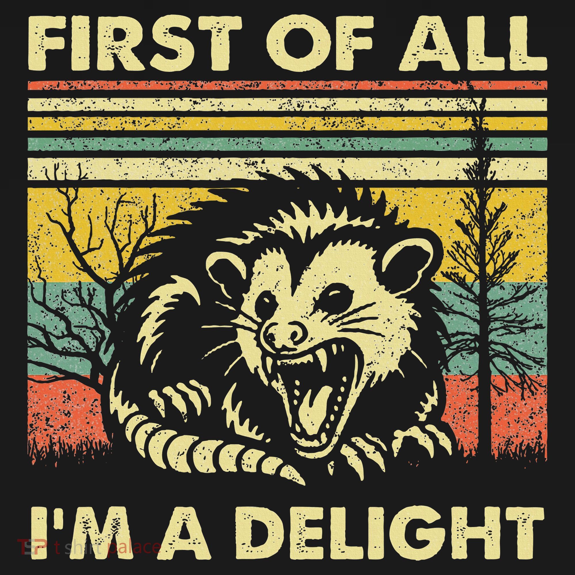 First Of All IM A Delight Sarcastic Angry Opossum Lover Women's Hoodie
