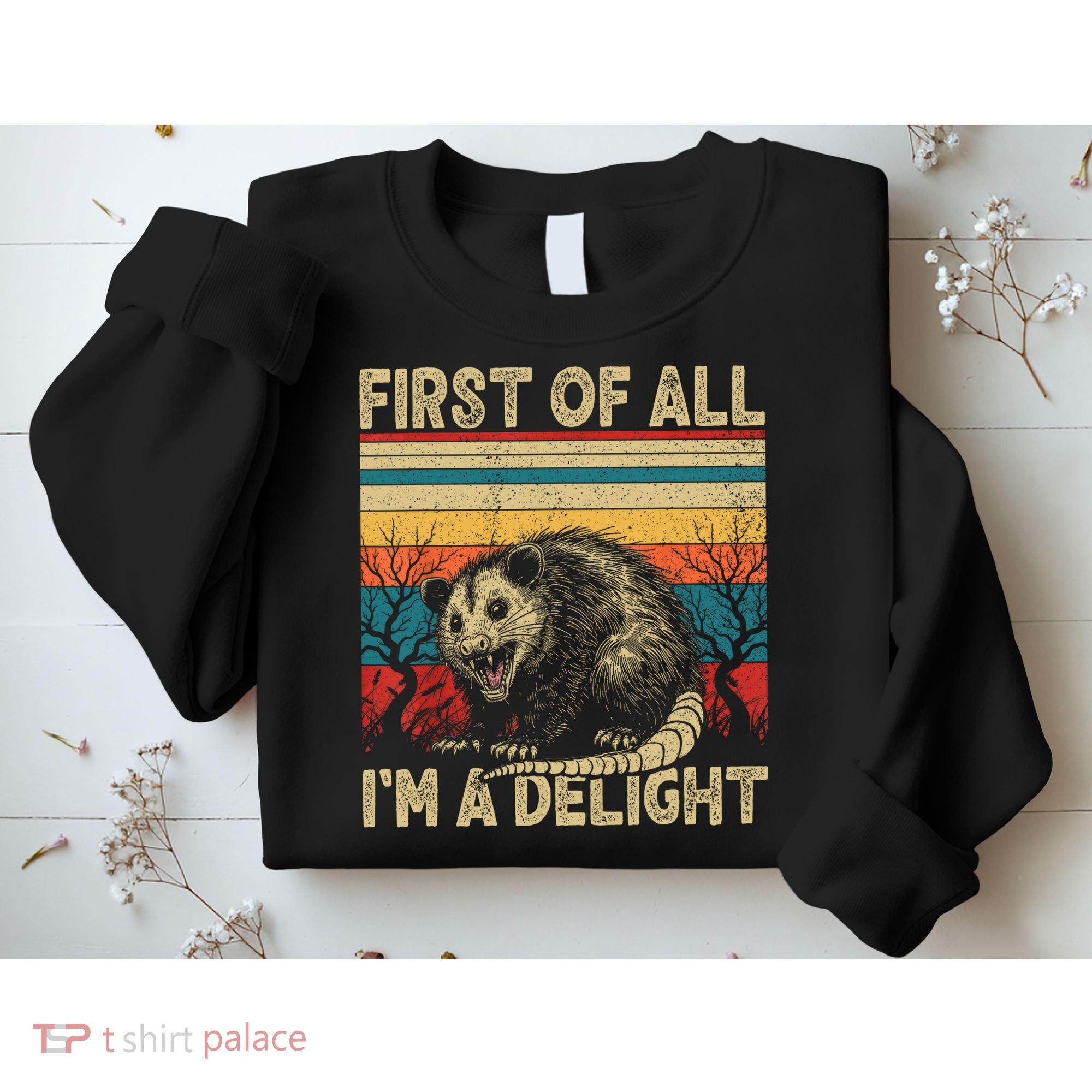 First Of All I'm A Delight Sarcastic Angry Opossum Possum  Sweatshirt