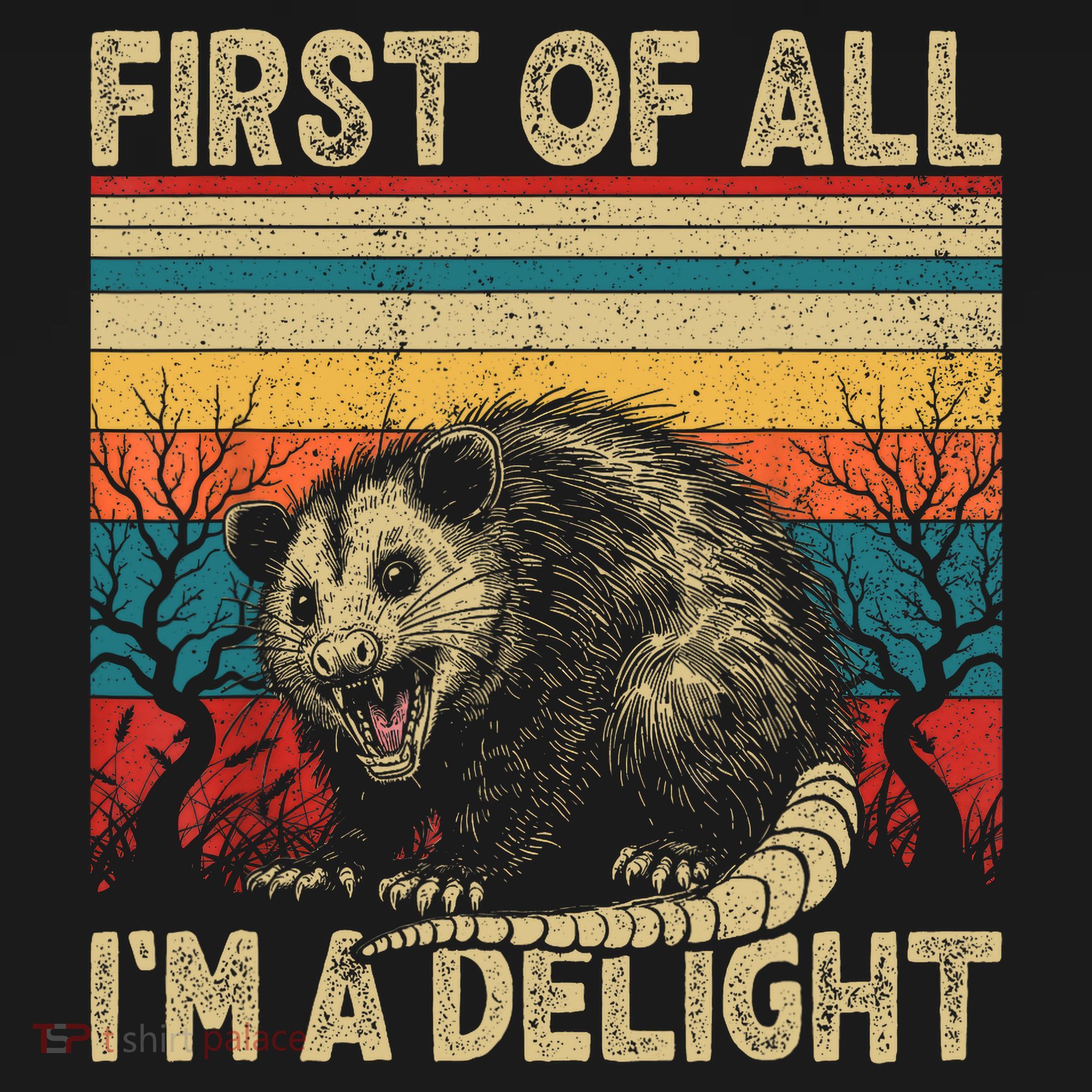 First Of All I'm A Delight Sarcastic Angry Opossum Possum  Women's Hoodie