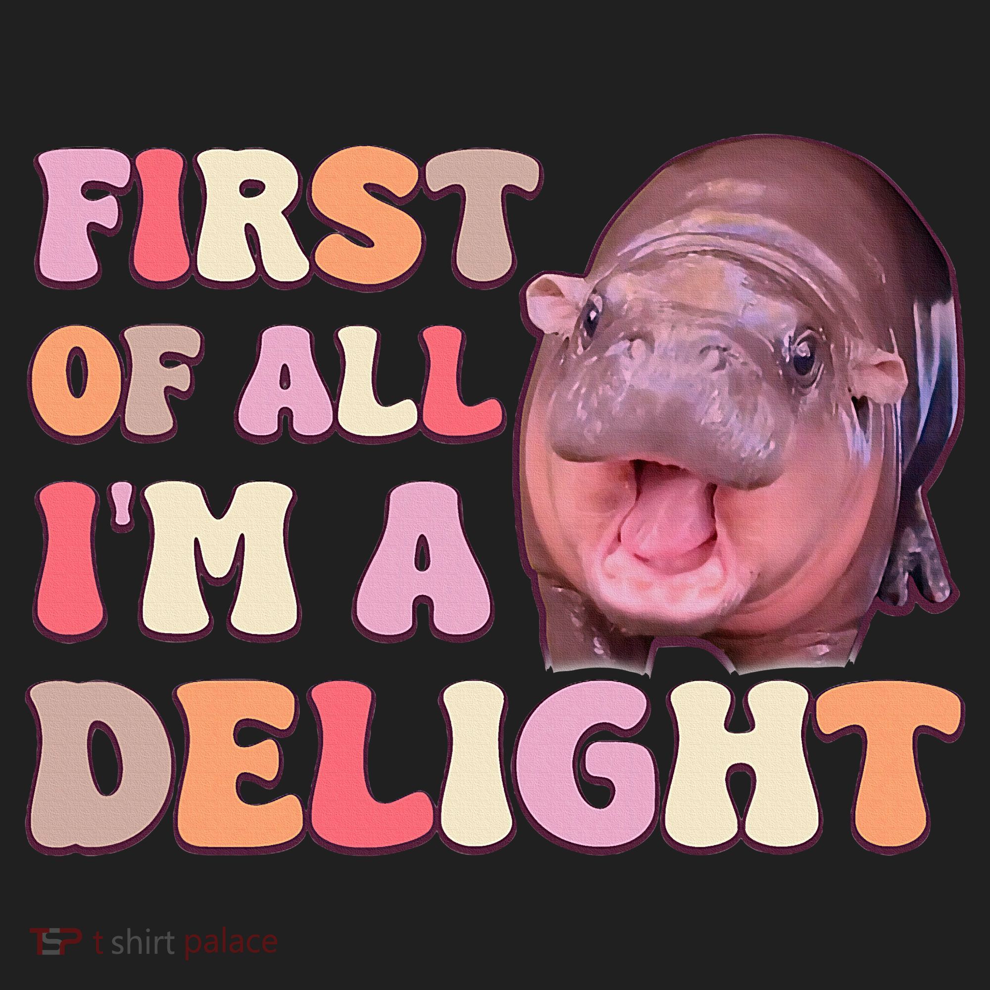 First Of All IM A Delight Moodeng Funny Meme Saying Beanie