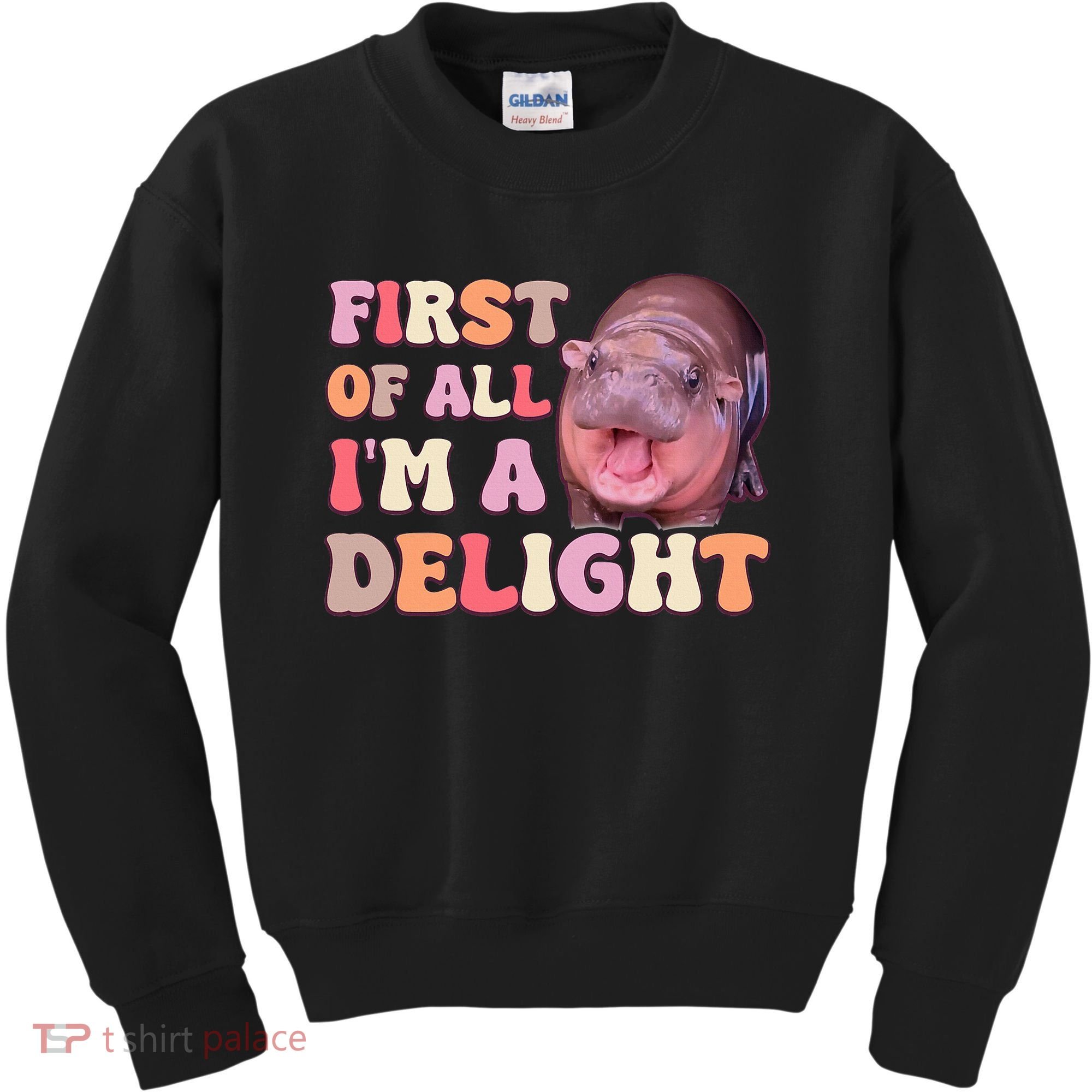First Of All IM A Delight Moodeng Funny Meme Saying Kids Sweatshirt