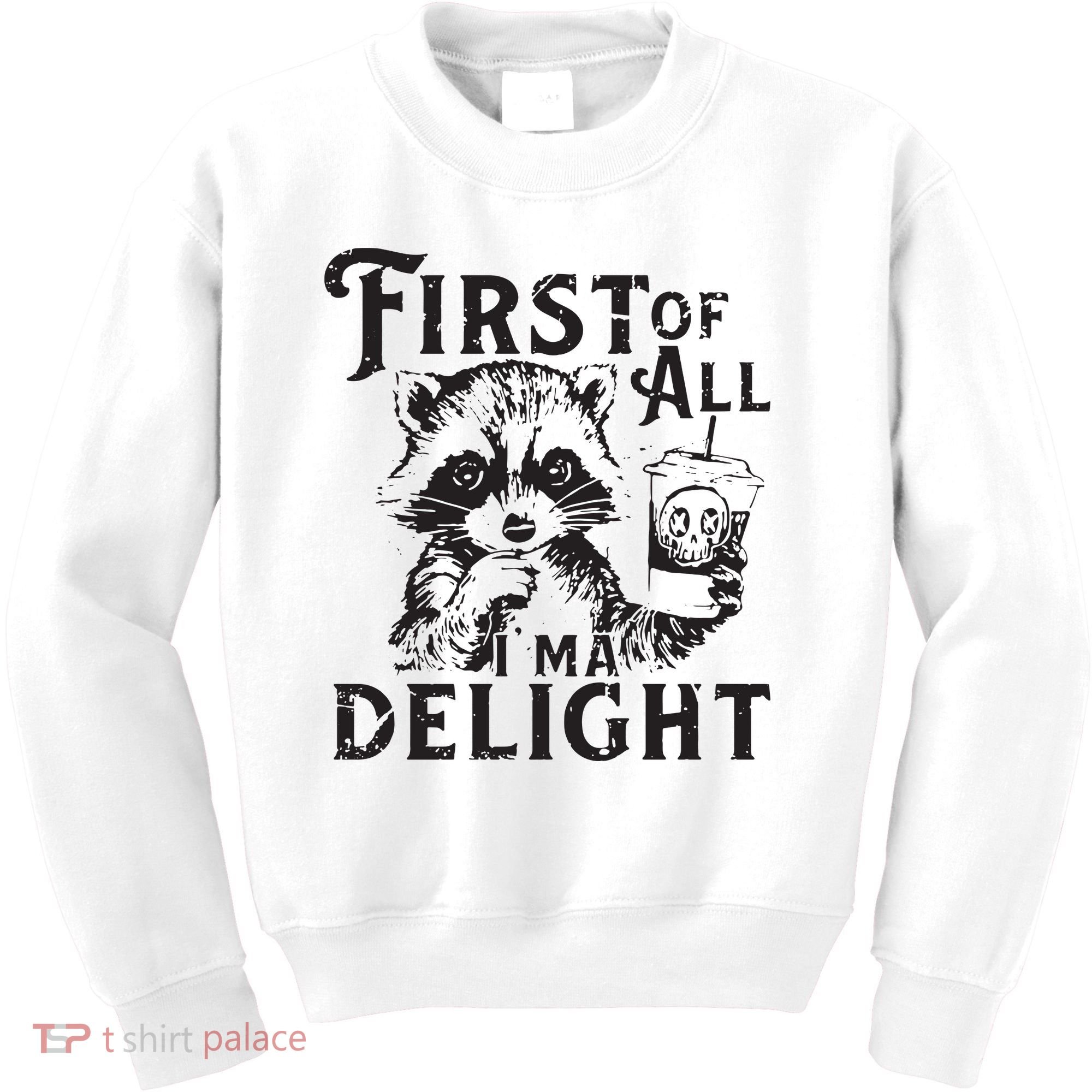 First Of All IM A Delight Funny Raccoon Kids Sweatshirt