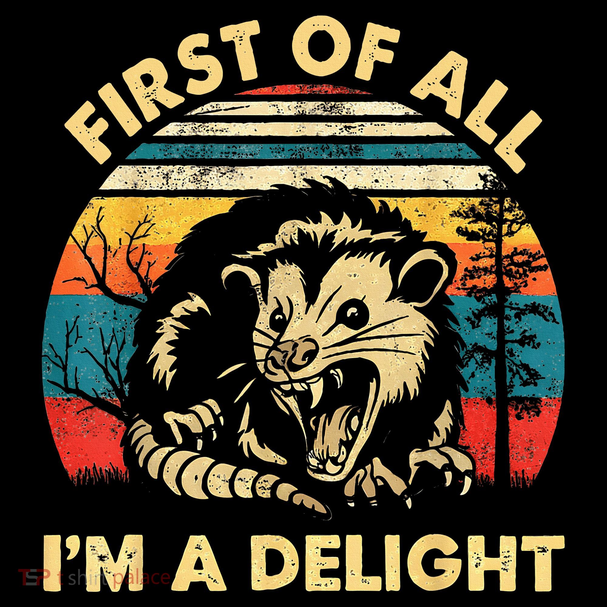 First Of All IM A Delight Sarcastic Angry Opossum Women's Hoodie