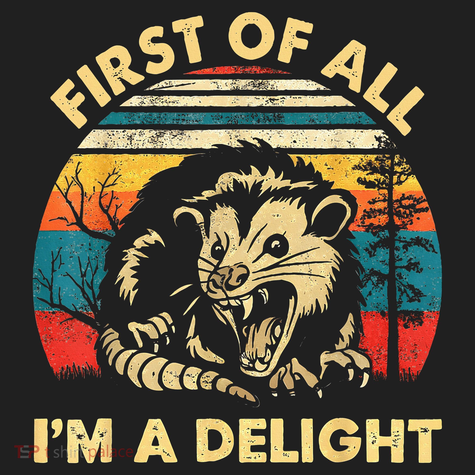 First Of All IM A Delight Sarcastic Angry Opossum Hat