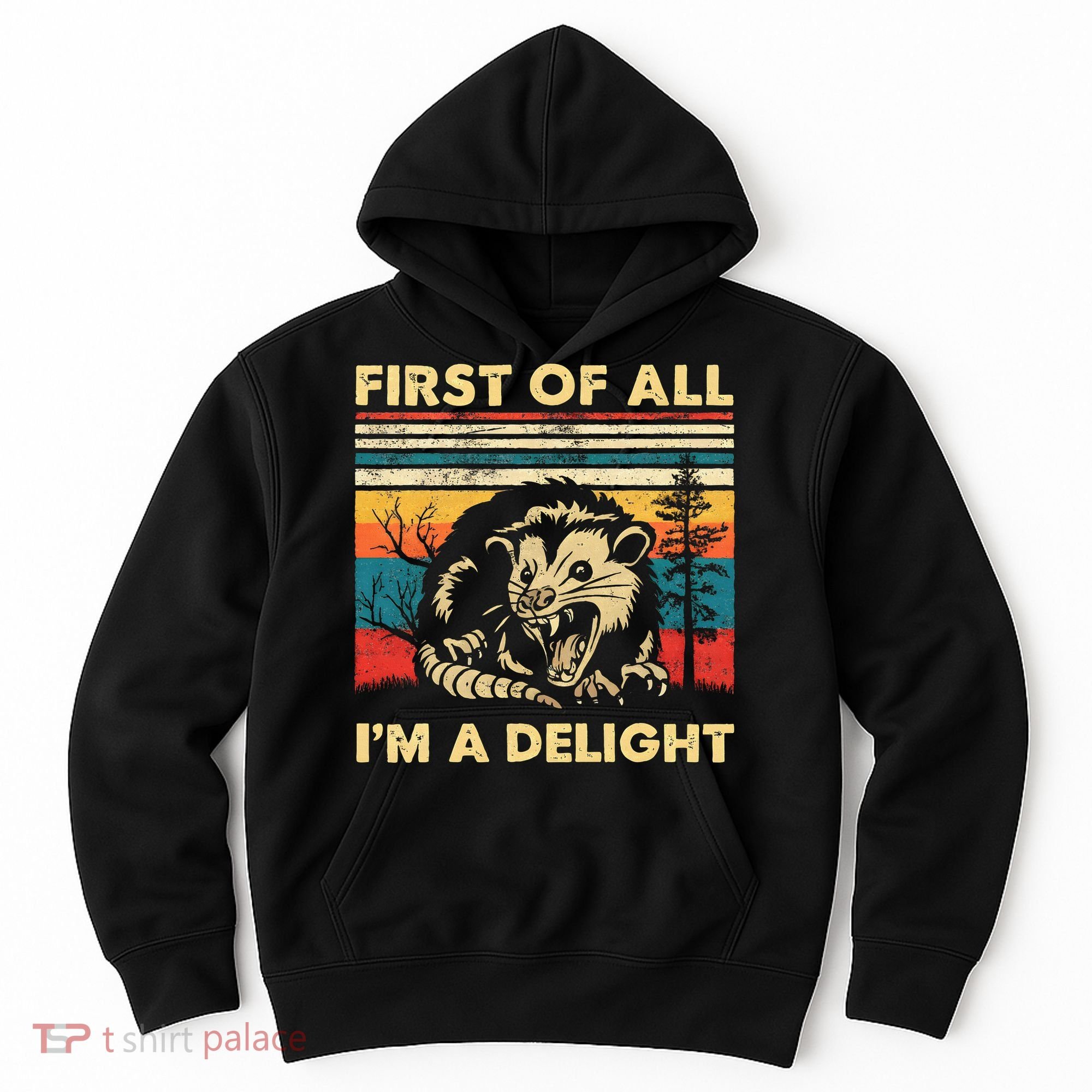 First Of All IM A Delight Sarcastic Angry Opossum Possum Hoodie