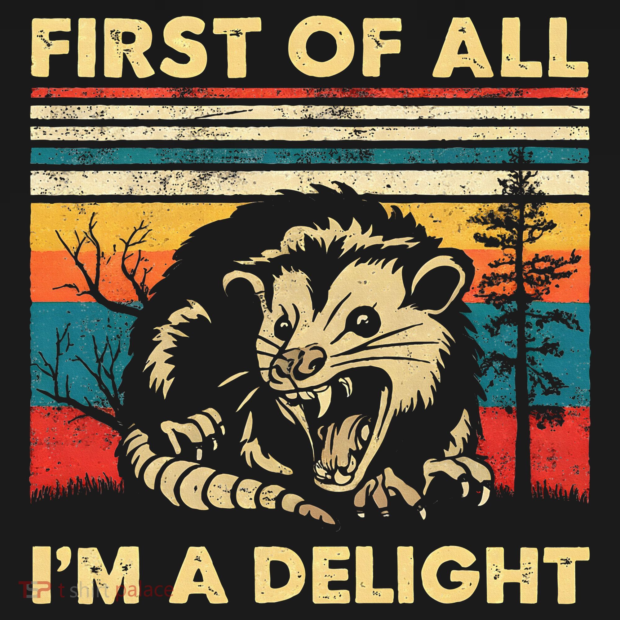 First Of All IM A Delight Sarcastic Angry Opossum Possum Women's Hoodie