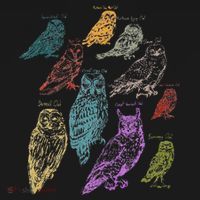 Forest Owl Breed Ornithologist Gift Owl Sweatshirt thumb 3