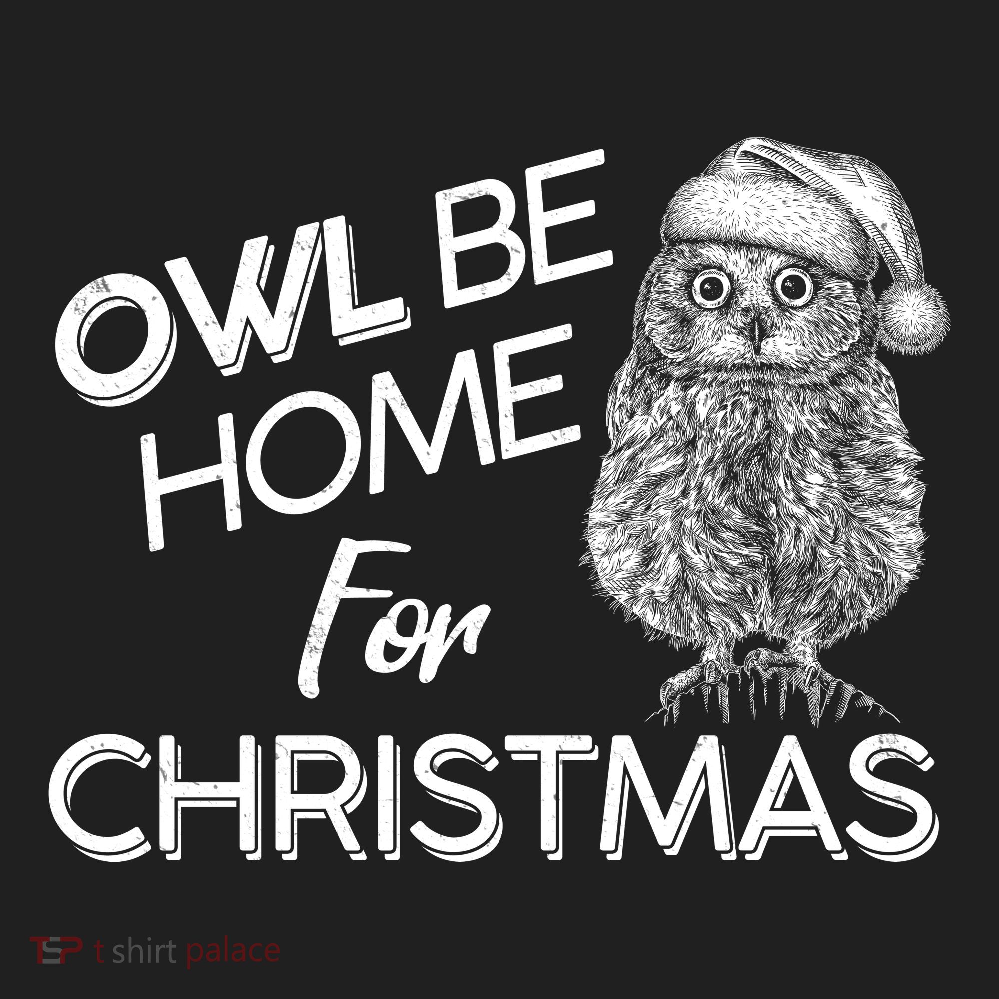 Funny OWL Be Home For Christmas Hat