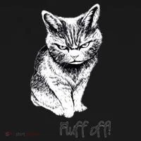 Fluff Off Cat Funny Cat Kitten Women's T-Shirt thumb 6