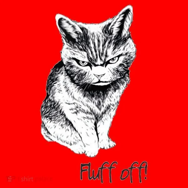Fluff Off Cat Funny Cat Kitten Santa Hat