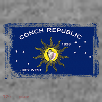 Flag Of Conch Republic Funny Key West Florida Toddler Hoodie thumb 2