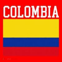 Flag Of Colombia Sports Athletics Left Side Santa Hat thumb 1