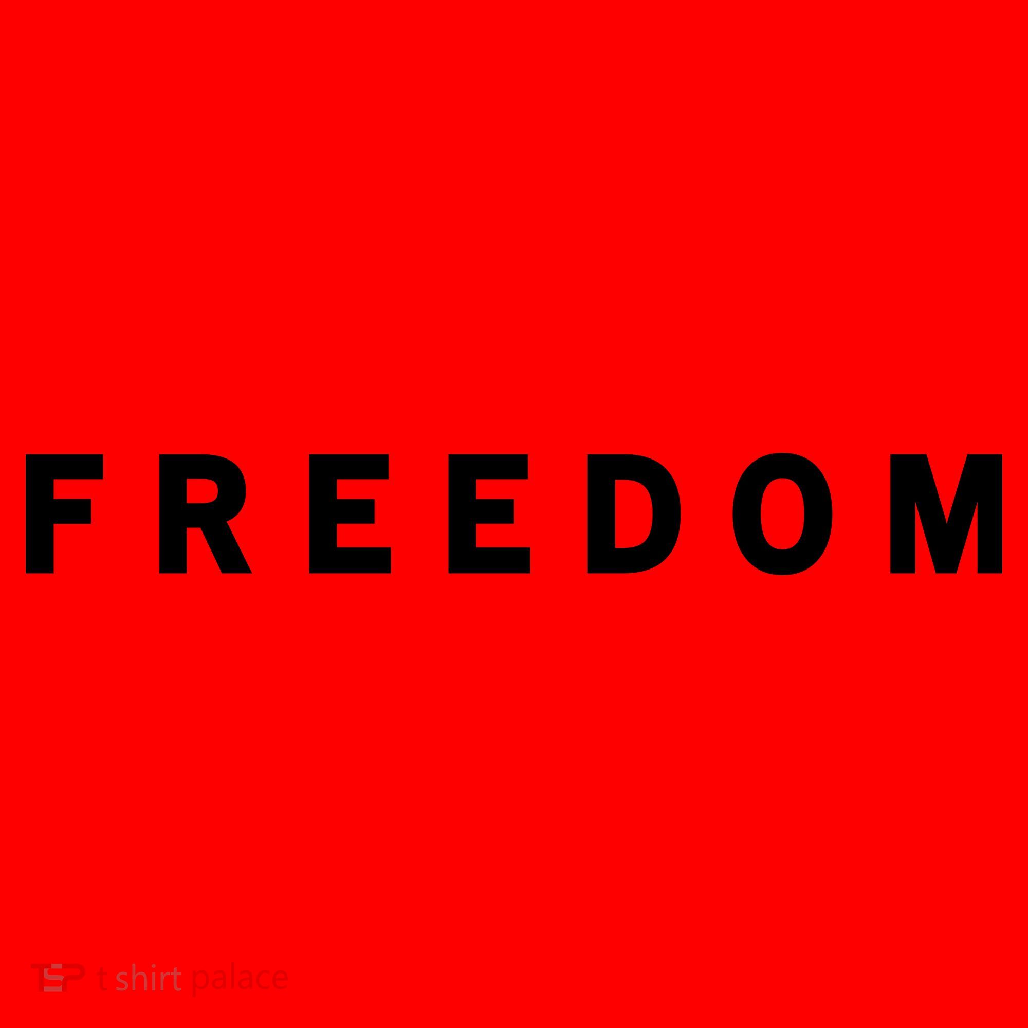 Freedom Offended Does't Mean Your Right Charlie Kirk Front & Back Santa Hat
