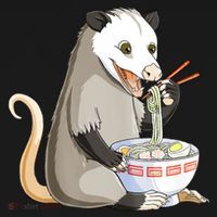 Funny Opossum Eating Ramen Backpack thumb 2