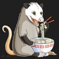 Funny Opossum Eating Ramen Beanie thumb 2