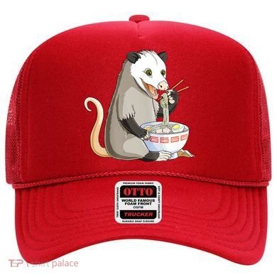 Funny Opossum Eating Ramen Hat