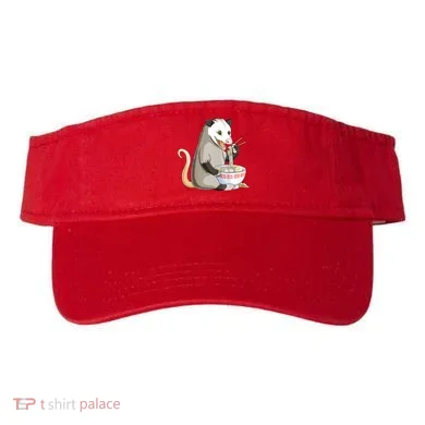 Visor
