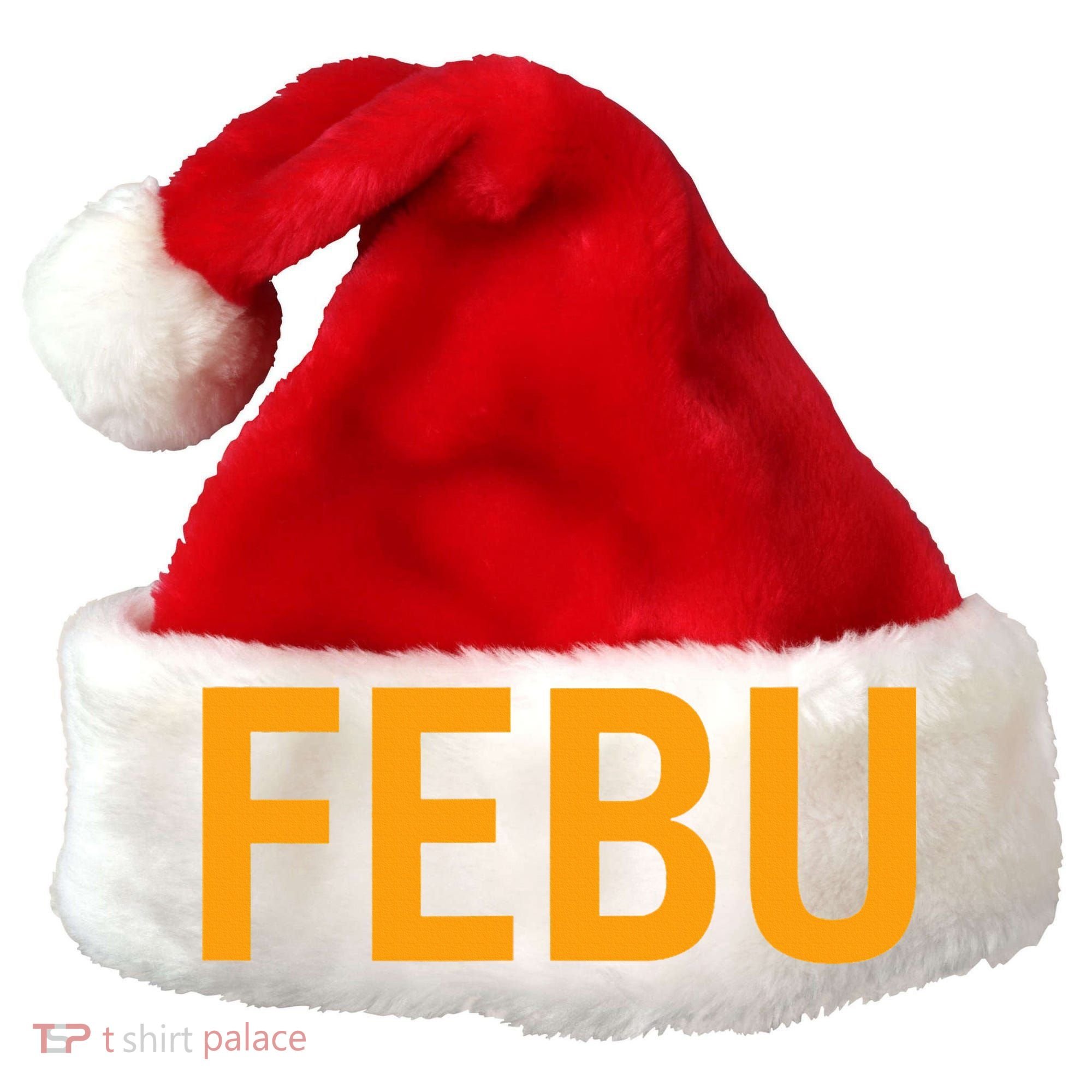 FEBU Oregon  Santa Hat