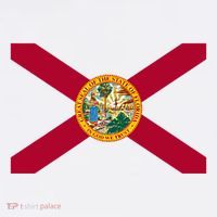 Flag Of Florida The Sunshine State Miami Orlando Tampa Women's Tank Top thumb 5