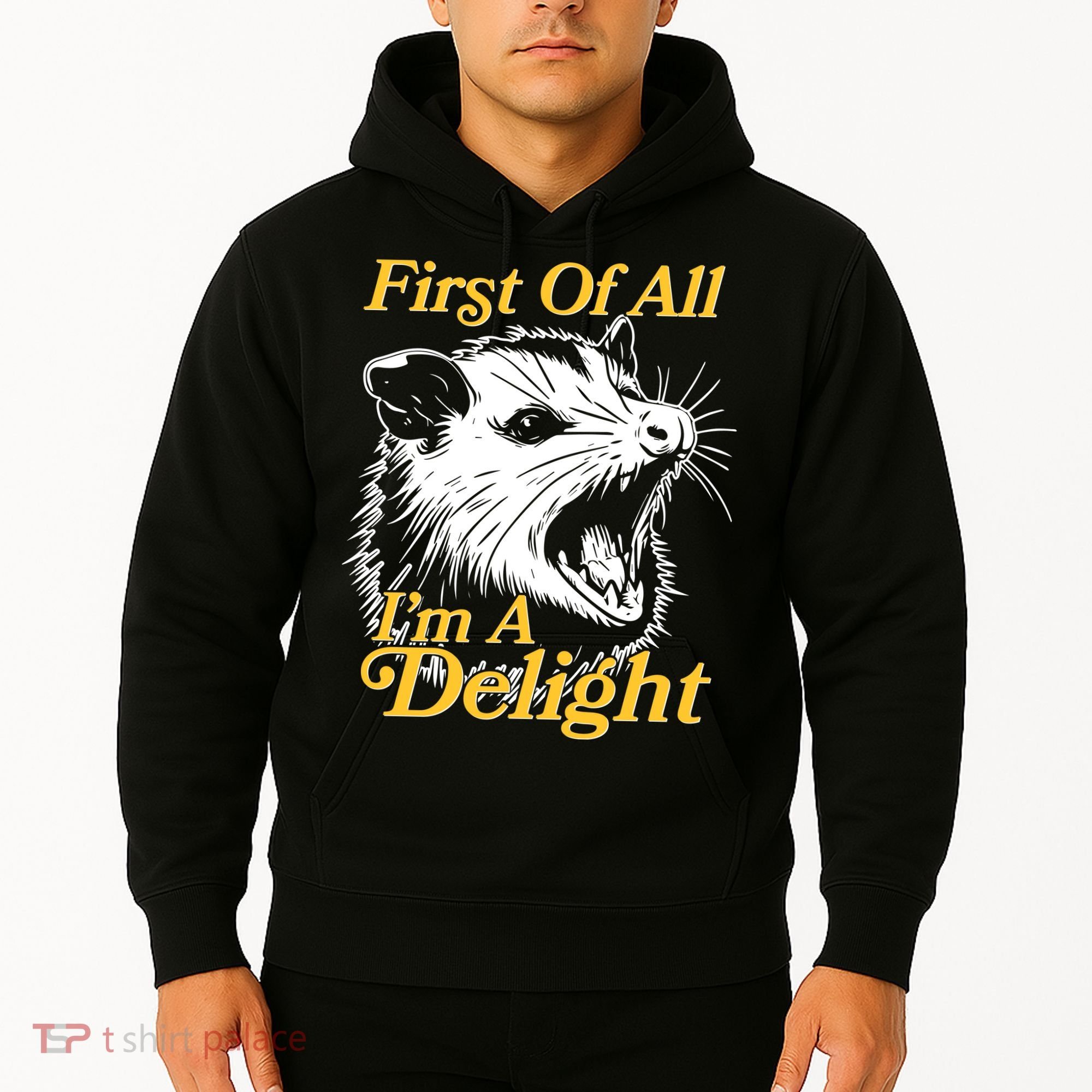 Funny Opossum First Of All Im A Delight Hoodie
