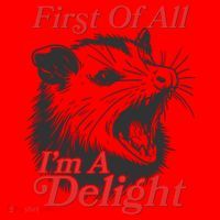 Funny Opossum First Of All Im A Delight Santa Hat thumb 1