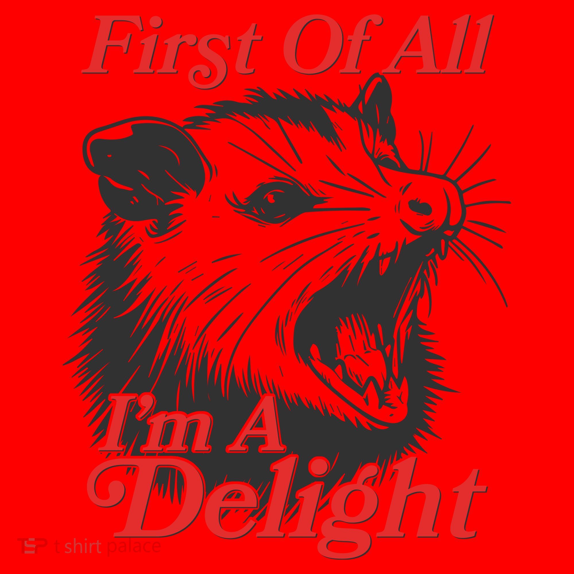Funny Opossum First Of All Im A Delight Santa Hat