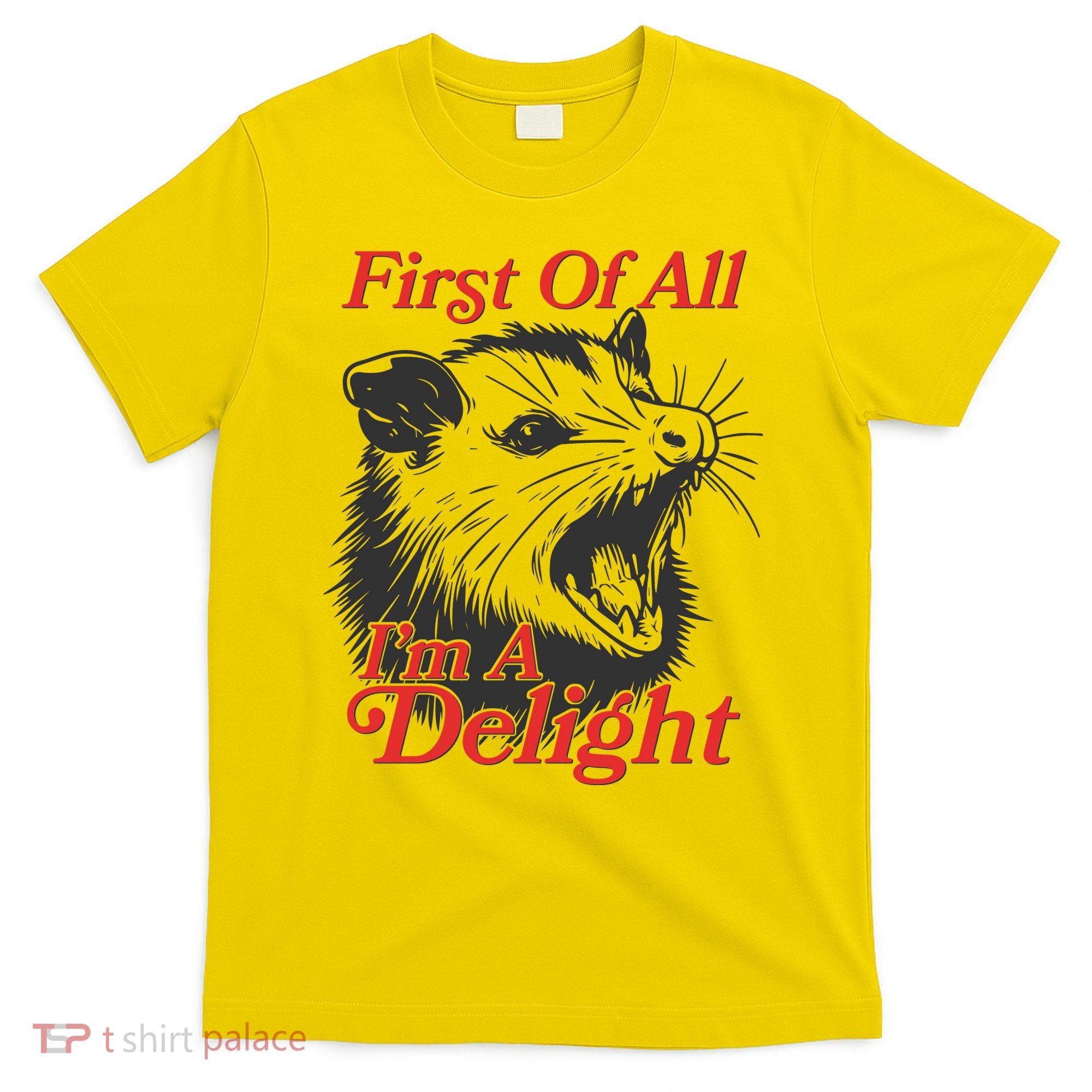 Funny Opossum First Of All Im A Delight T-Shirt